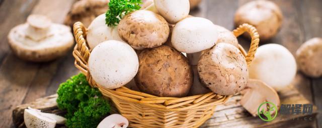 油蘑用盐腌制方法怎么存放(腌油蘑一斤蘑菇多少盐)