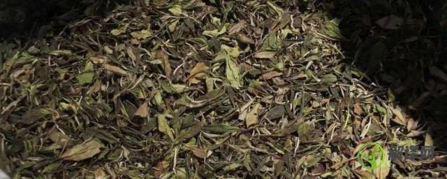 白茶存放方法(白茶存放方法和条件)