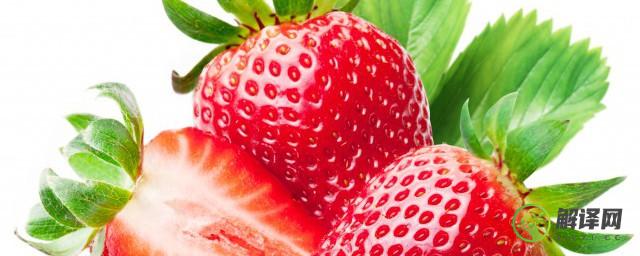 草莓是什么时候种的(草莓是什么时候种的水果)