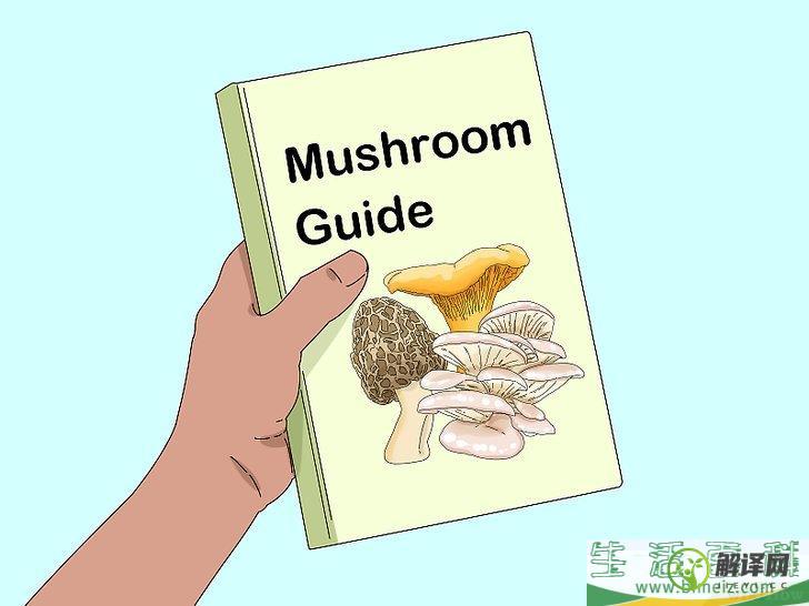 如何判断蘑菇是否能食用(怎么判断蘑菇是否能吃)