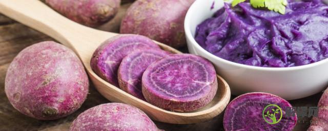 紫薯煮多长时间(紫薯煮多长时间可以吃)