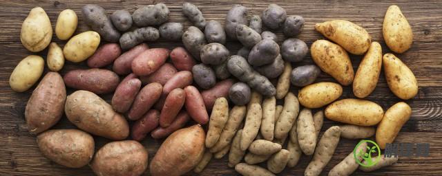 人工栽培的土豆怎么种植(土豆的种植方法)