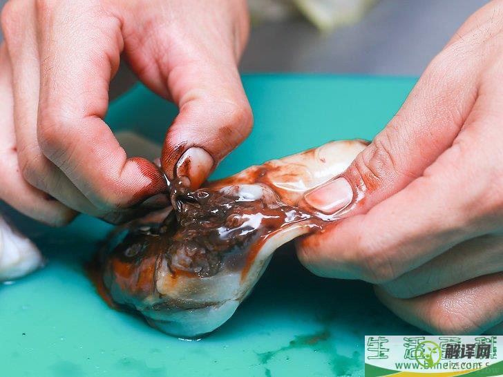 怎么烹制章鱼(章鱼的做法?)