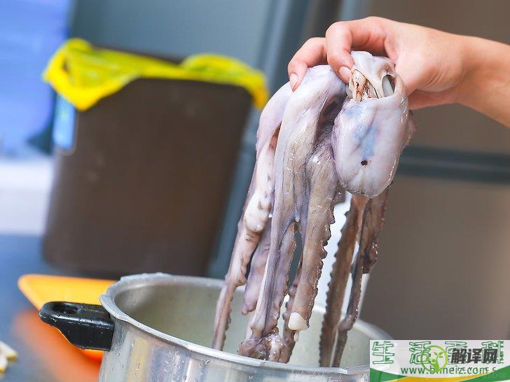 怎么烹制章鱼(章鱼的做法?)
