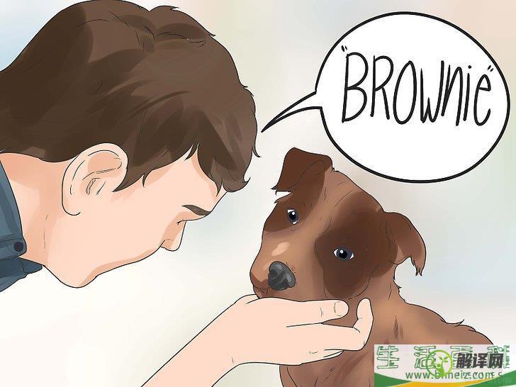 如何给你的狗取名字(如何给狗狗取名)
