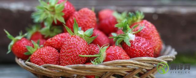 草莓的栽培技术及管理方法(草莓的栽培技术与管理)