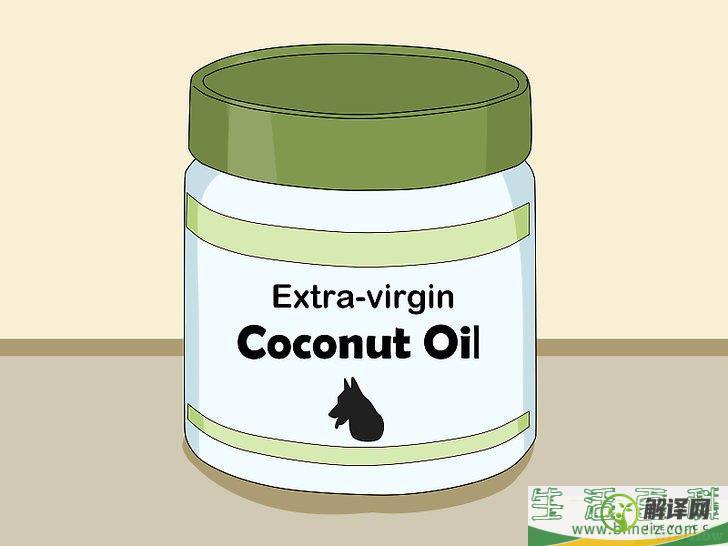 如何使用椰子油给狗狗驱除跳蚤以及护理皮肤(用椰子油给狗护毛)
