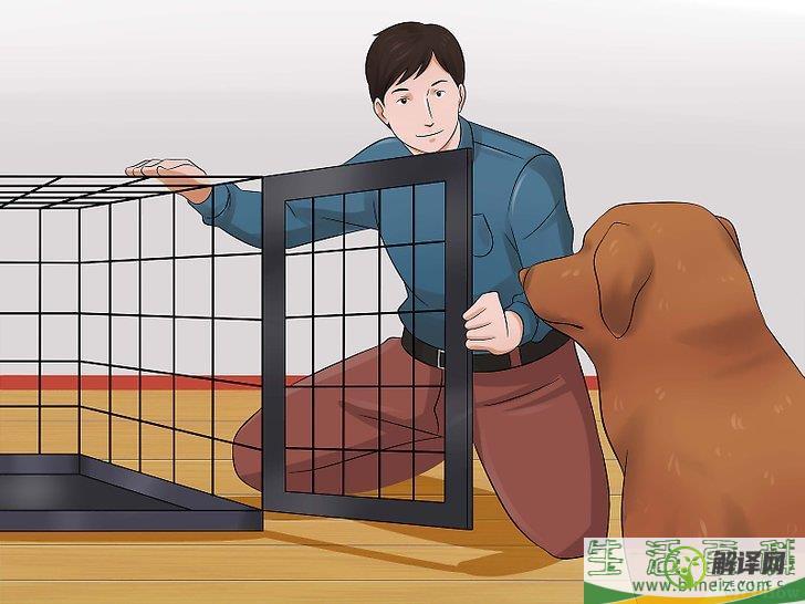 如何防止狗狗在笼子里排便(狗在狗笼里拉屎怎么办)