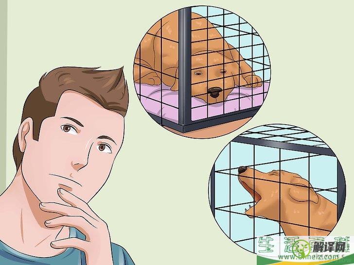 如何防止狗狗在笼子里排便(狗在狗笼里拉屎怎么办)