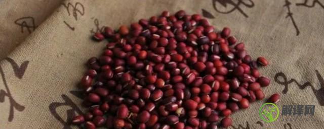 赤豆养殖方法和注意事项(赤豆锦的养殖方法和注意事项)