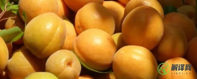 鲜杏保存方法(杏的保鲜方法)