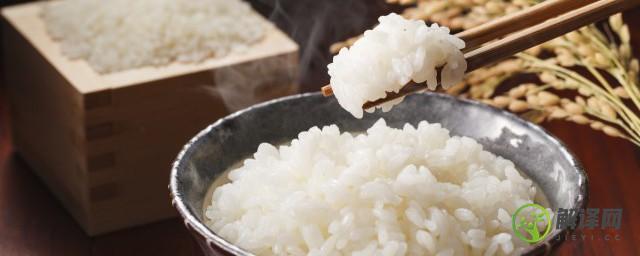 剩米饭放冰箱冷冻层可以吗(米饭可以冻在冰箱里吗)
