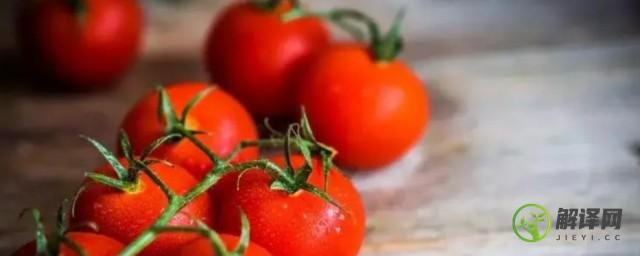 番茄的冰箱保存方法(番茄放冰箱冷藏)