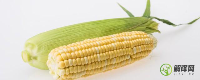 如何防止玉米缺粒(玉米缺粒的原因和补救方法)