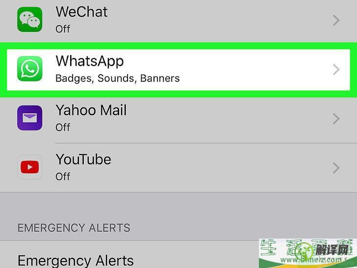 怎么在iPhone或iPad上屏蔽WhatsApp呼叫(WhatsApp屏蔽)