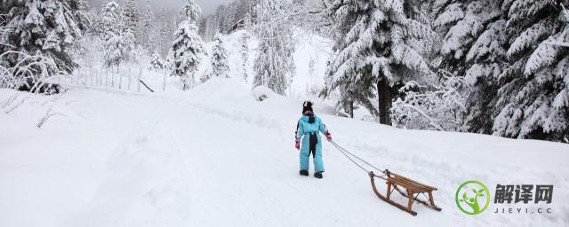 自由式滑雪空中技巧运动员(自由式滑雪空中技巧运动员在无雪)
