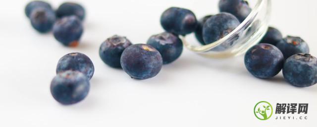 买的蓝莓树苗怎么种植(蓝莓树苗怎么养)
