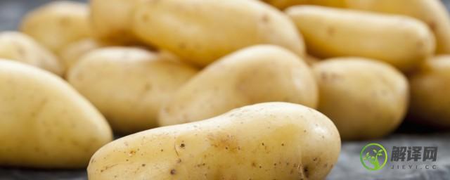 土豆是怎么种植的(土豆是怎么种植出来的)
