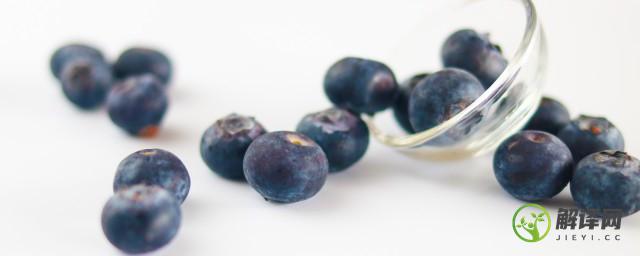 蓝莓树盆栽苗买回来怎么种(蓝莓树苗怎么养)