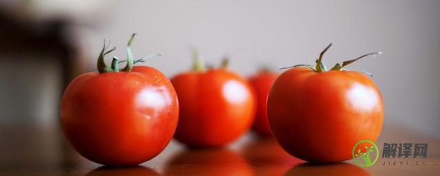 如何种好西红柿(怎么种西红柿好吃)