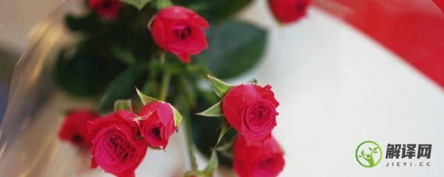 送老婆送什么颜色玫瑰(送老婆送什么颜色的花)
