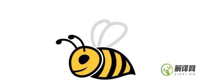 如何养蜂养的好(如何才能学会养蜂?)