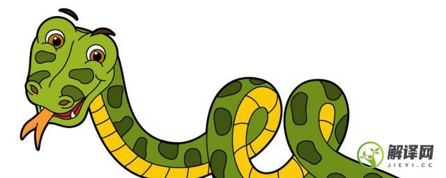蛇是国家保护动物吗(银环蛇是国家保护动物吗)