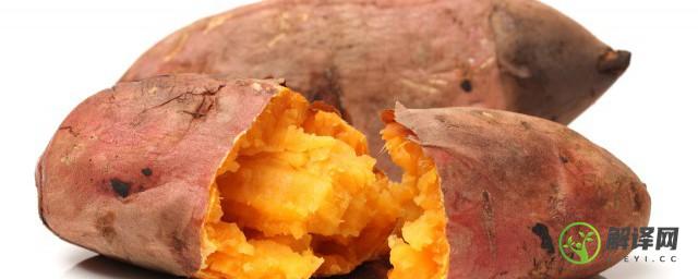 微波炉烤红薯多长时间可以烤熟