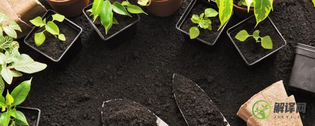 种植蔬菜需要什么土壤(种植蔬菜对土壤有何要求)
