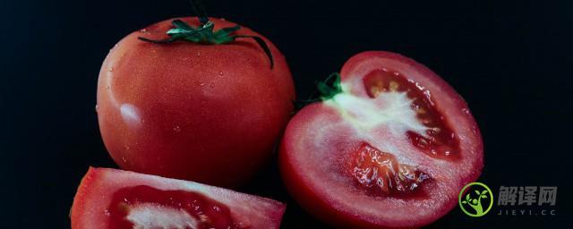 番茄种子怎么种植方法(怎样用番茄种子种番茄)