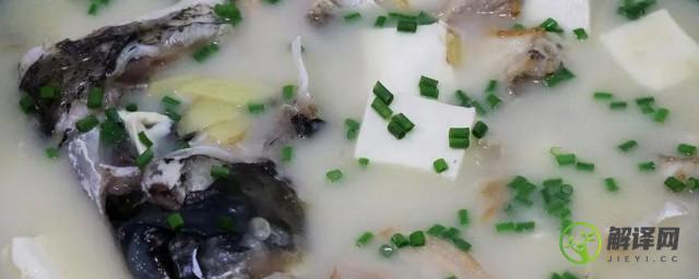 怎么才能做清淡不腥的胖头鱼汤