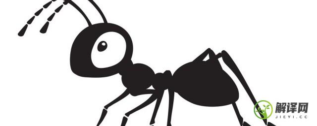 蚂蚁为什么是大力士(蚂蚁大力士中的蚂蚁是怎样的)