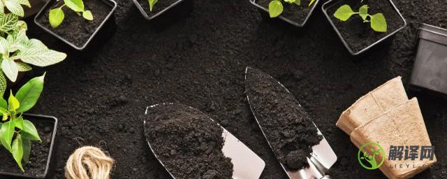 盆栽的营养土表面发霉是怎么回事