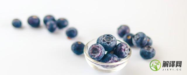 花盆种植蓝莓为什么只开花不结果