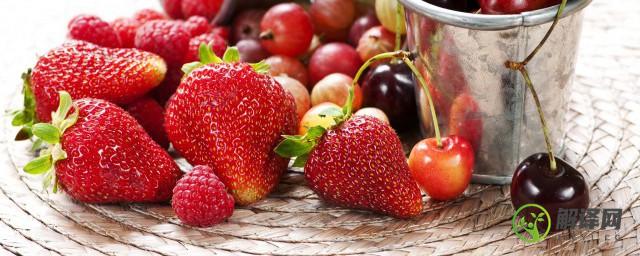 发酵的淘米水可以浇草莓吗(种草莓可以用淘米水吗)