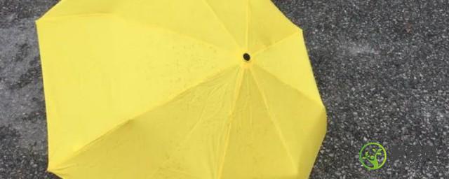 雨伞可以当太阳伞吗(雨伞可以当太阳伞用吗)