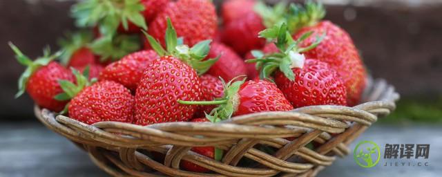 立夏草莓可以种吗(立秋可以种草莓吗)