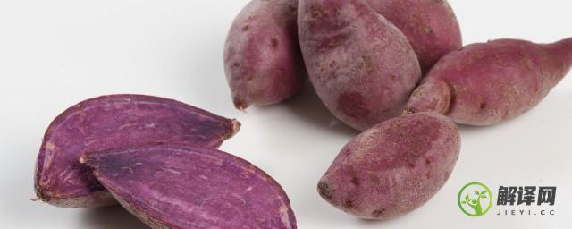紫薯有哪些选购技巧(什么样的紫薯比较好)
