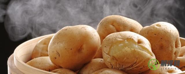 土豆的繁殖方式是出芽生殖吗(土豆是出芽生殖还是营养生殖)