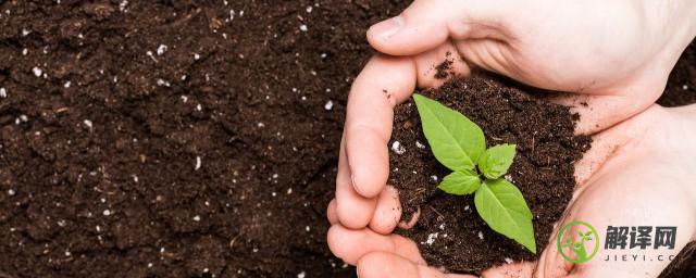 土壤能为植物的生长提供哪些条件