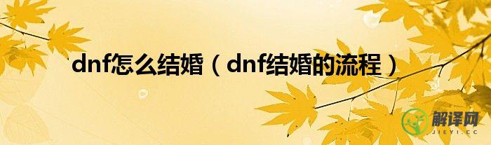 dnf结婚的流程(DNF结婚需要什么)