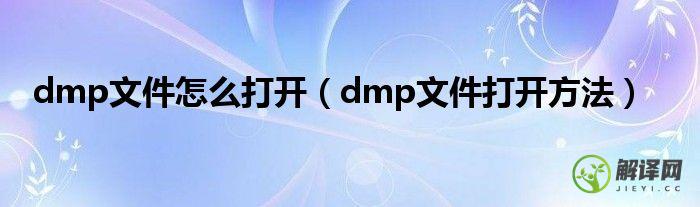 dmp文件打开方法(dm文件怎么打开)