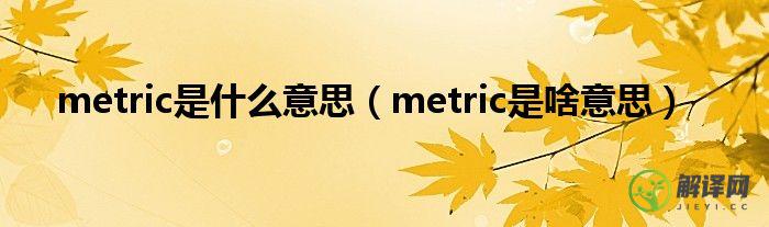 metric是啥意思(metr是什么意思)