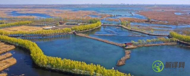 中国的最湿地是在什么地(中国有几个湿地)