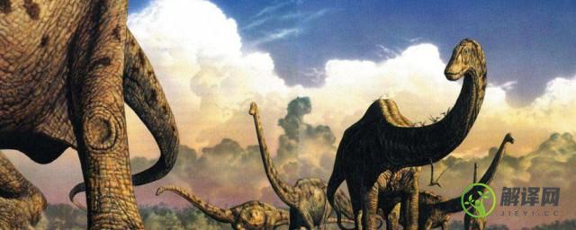 恐龙中最大的是什么恐龙(最大的恐龙是什么呀)