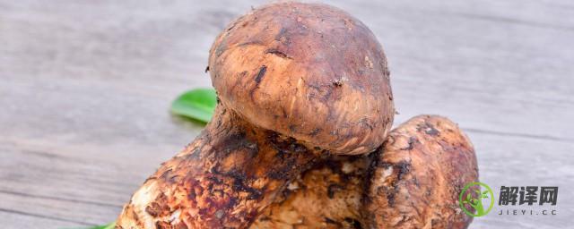 松茸蘑菇怎么做才好吃(松茸菌菇怎么做好吃)