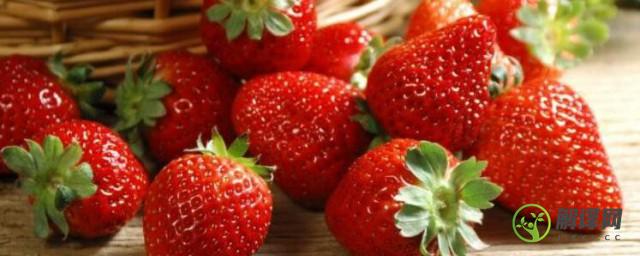 草莓夏天要放冰箱吗(夏天草莓可以放冰箱吗)