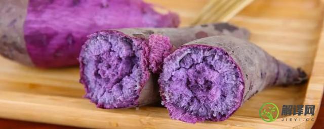 紫薯种植的时间是什么时候(紫薯种植时间和生长期)