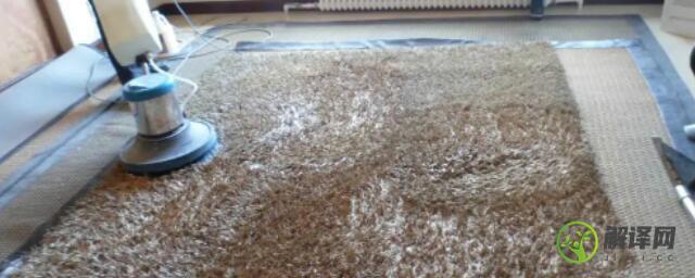 有人了解晴纶地毯怎么清洗吗(丙纶地毯怎么清洗)