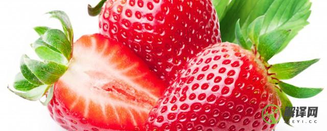 露天草莓的种植方法是什么(露天种植草莓过冬的主要方法)